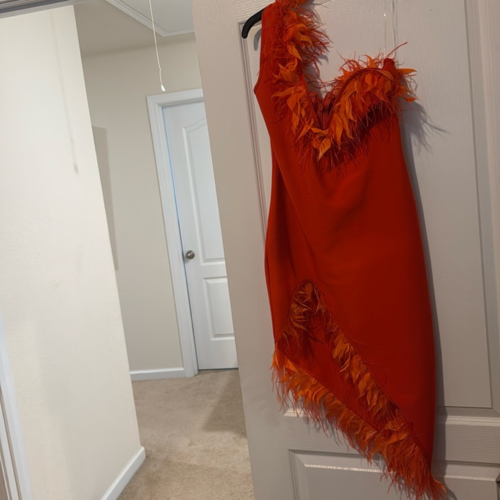 Orange Fashion Nova Zip Back One Sleeve Ruffled Feather Dress